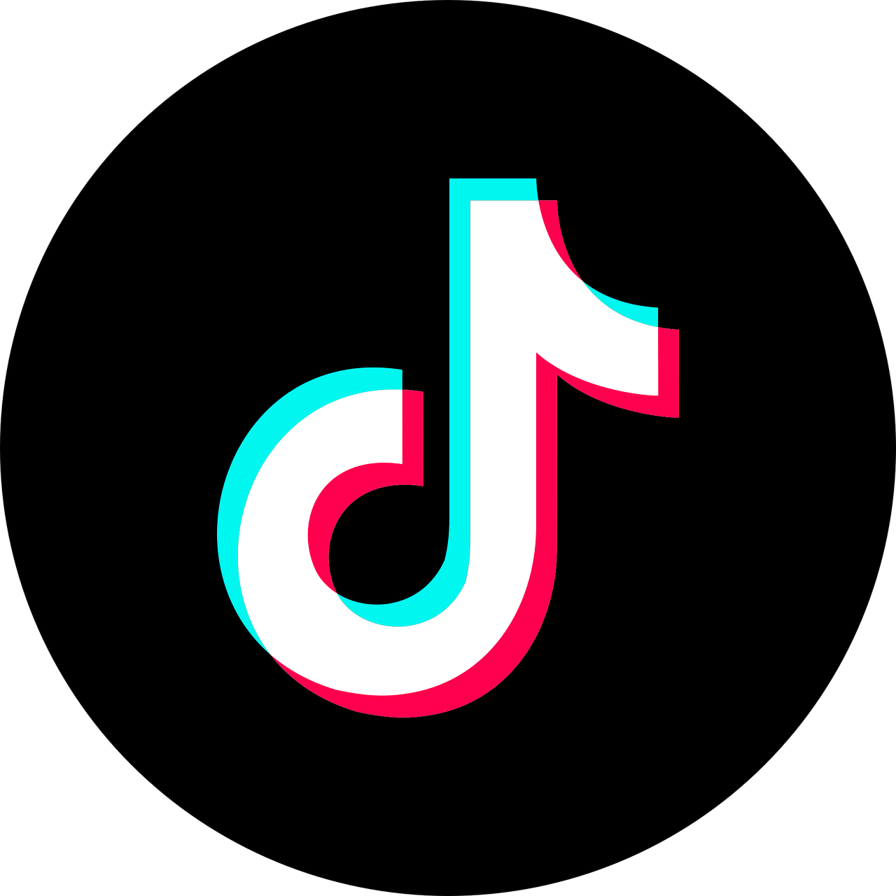 seo tiktok logo